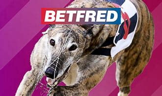 live greyhound betting.